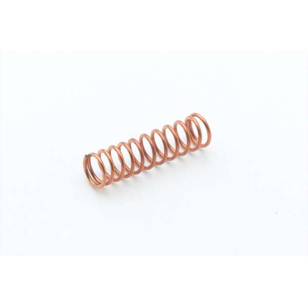 001479-45 T&S Spring for Eterna Cartridge with Spring Checks