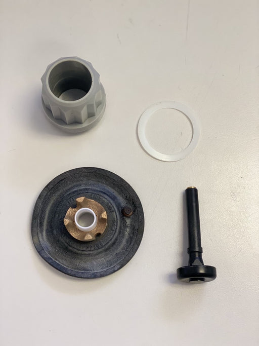 F141-AU-T5 Delany Urinal Diapgragm Repair Kit