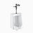 SU-1009 Standard Urinal and GEM 186 Flushometer